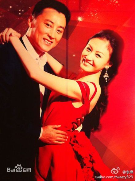 刘小锋(Liu Xiaofeng)婚礼素颜照相册