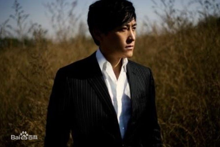 最全刘小锋(Liu Xiaofeng)精彩图册