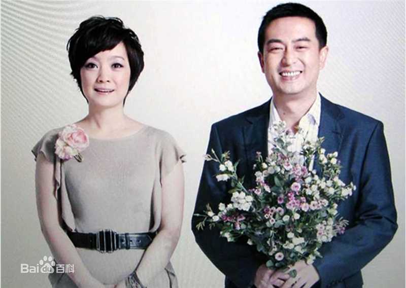 王海燕图集壁纸壁纸