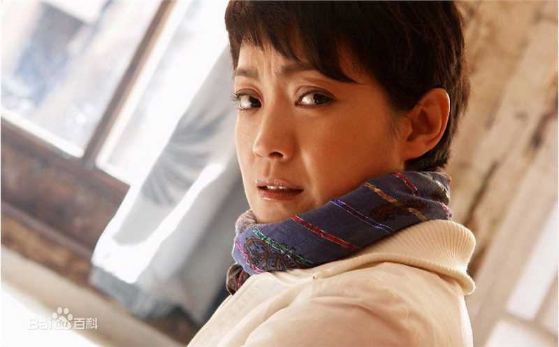 最优质王海燕精彩图册