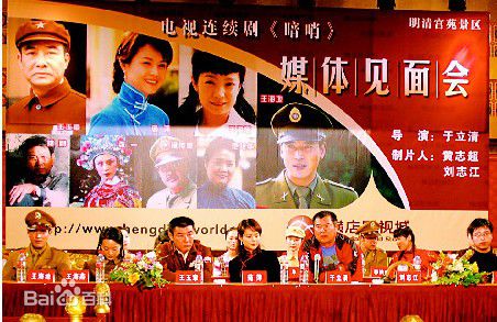 高清王海燕在《暗哨》媒体见面会中的图集