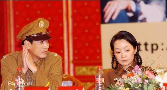 高清王海燕在《暗哨》媒体见面会中的图集