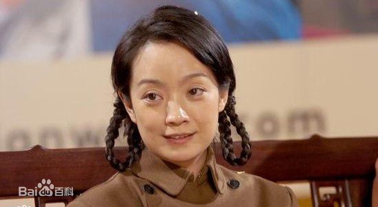 高清王海燕在《暗哨》媒体见面会中的图集