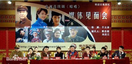 高清王海燕在《暗哨》媒体见面会中的图集