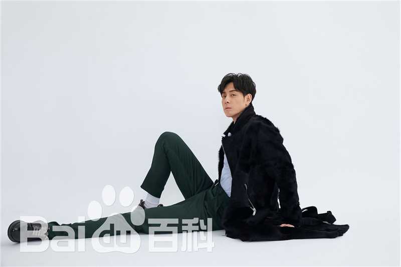 刘欢(Liu Huan)最全照相册