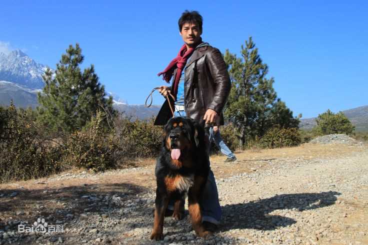 张政勇(Arm)生活剪影壁纸壁纸