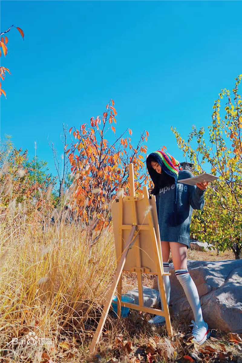 种丹妮最全时尚相册