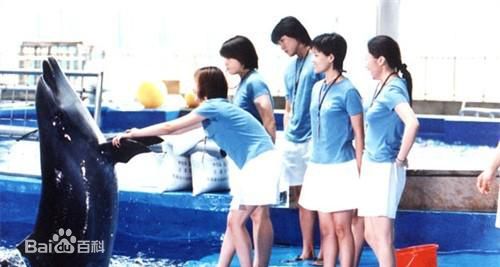 何佳怡参演电视作品（2001-2010）前后照片