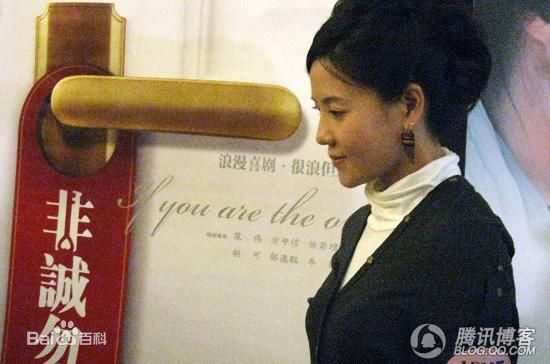 最优质何佳怡在2009年《非诚勿扰》宣传照中的相册