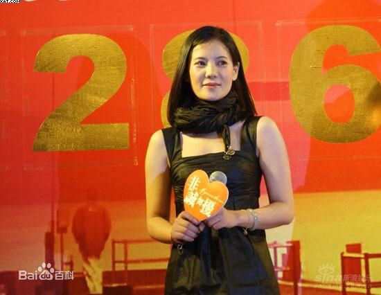 最优质何佳怡在2009年《非诚勿扰》宣传照中的相册