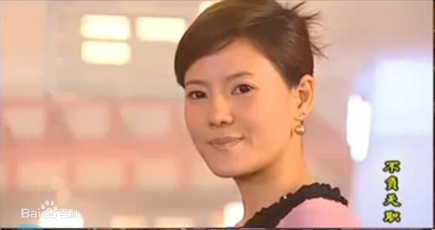 何佳怡2006年《不负天职》) 剧照