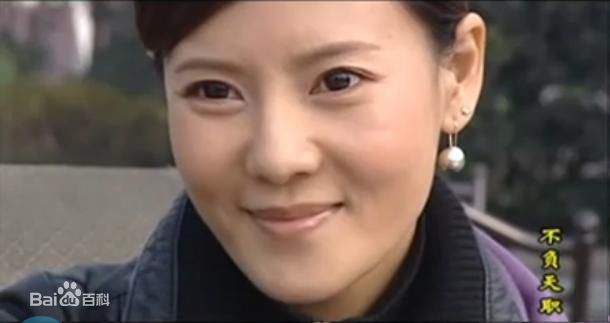 何佳怡2006年《不负天职》) 剧照