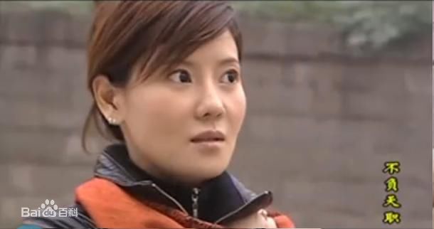 何佳怡2006年《不负天职》) 剧照