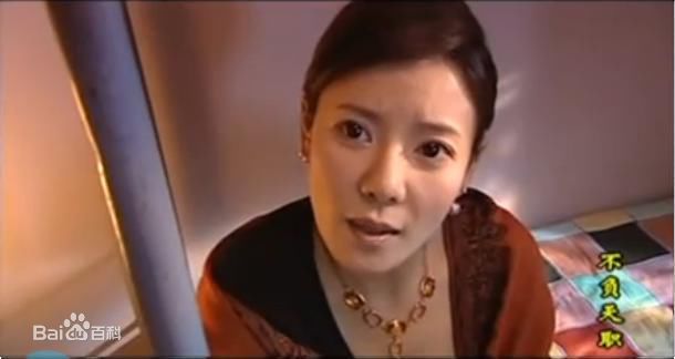 何佳怡2006年《不负天职》) 剧照