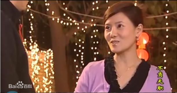 何佳怡2006年《不负天职》) 剧照