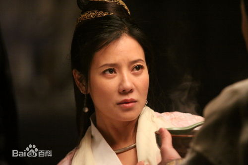 何佳怡2009年《倚天屠龙记》高清剧照