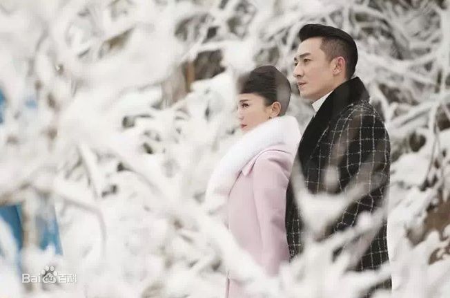 陈昊(tony)男管家壁纸壁纸