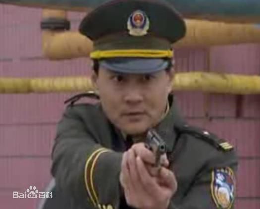 王辉参演作品图册