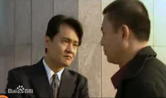 王辉参演作品图册