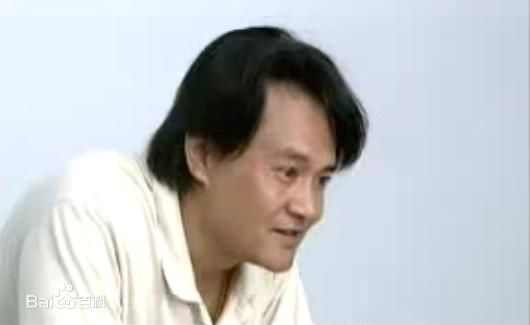 王辉参演作品图册