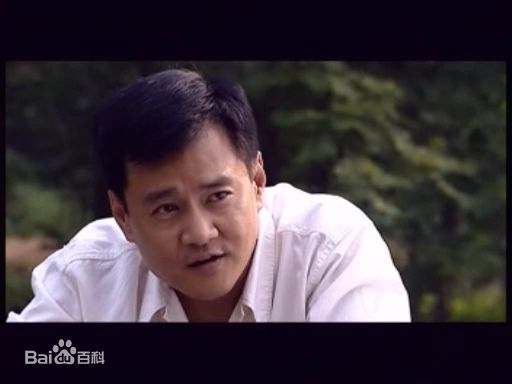 王辉参演作品图册