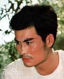 最新张甲田壁纸