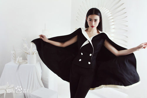 张辛苑高清 杂志大片图册