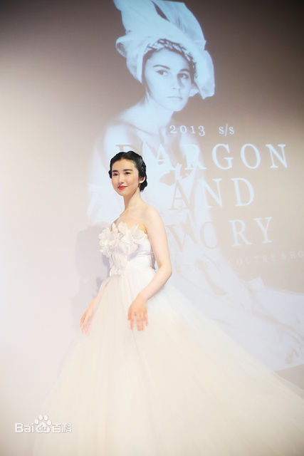 张辛苑活动照片性感图片图集