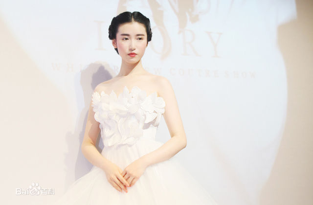 张辛苑活动照片性感图片图集