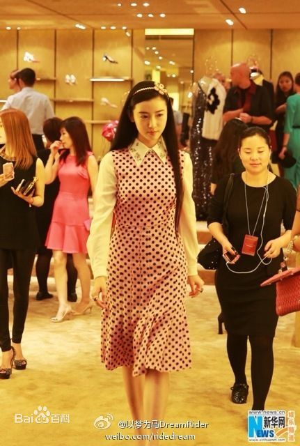 张辛苑活动照片性感图片图集