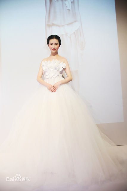 张辛苑活动照片性感图片图集