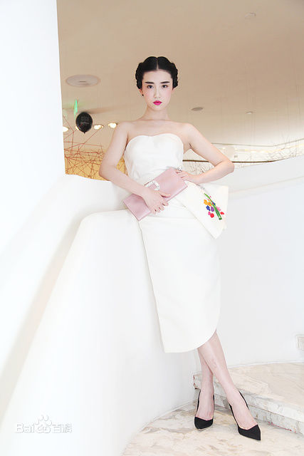 张辛苑活动照片性感图片图集