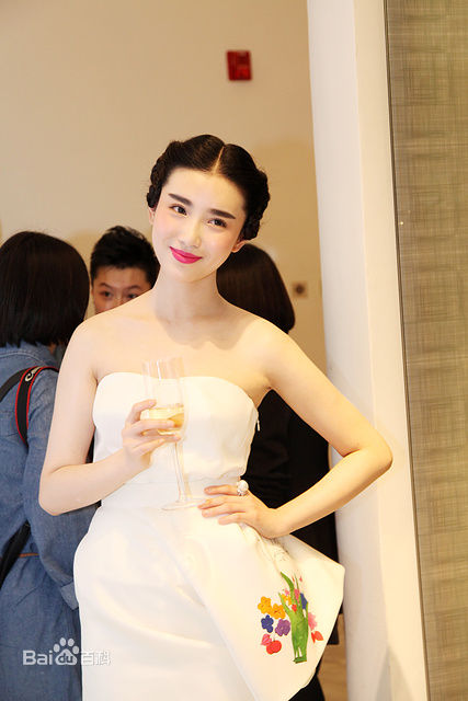 张辛苑活动照片性感图片图集