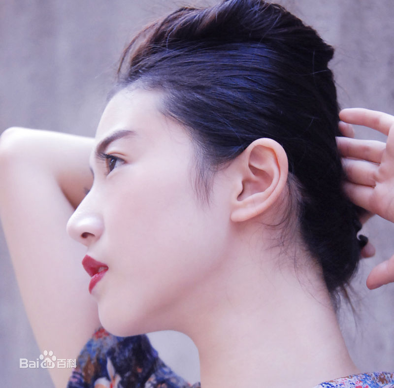 张辛苑 画册素颜照壁纸