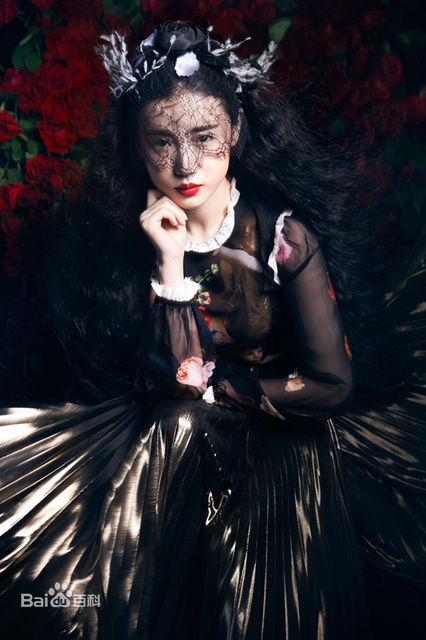 张辛苑 画册素颜照壁纸