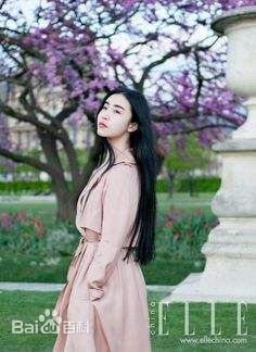 最新张辛苑壁纸