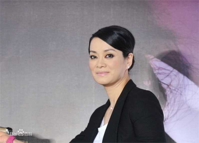 毛阿敏精选个人图册图册