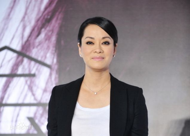 毛阿敏精选个人图册图册