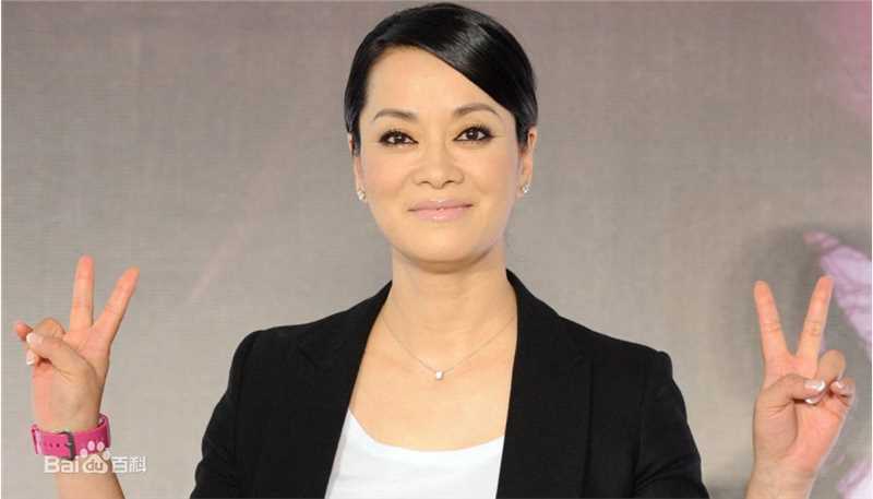 毛阿敏精选个人图册图册