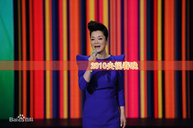 毛阿敏演出图册图片图集