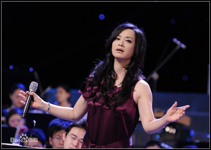 毛阿敏演出图册图片图集