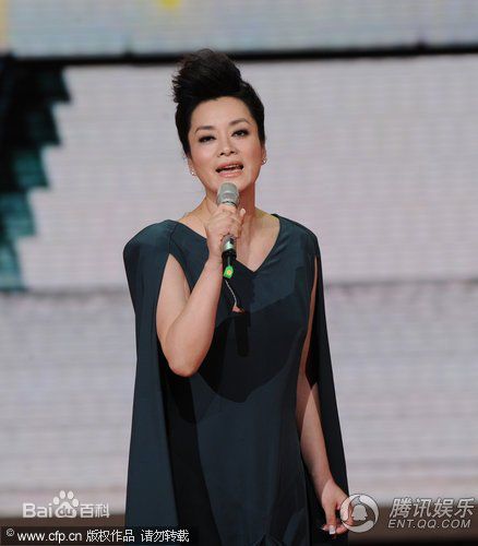 毛阿敏演出图册图片图集