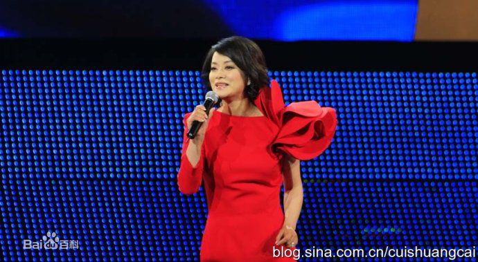 毛阿敏演出图册图片图集