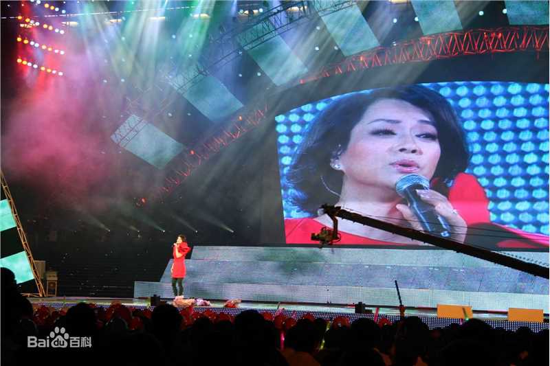 毛阿敏演出图册图片图集