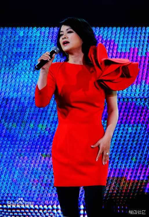 毛阿敏演出图册图片图集