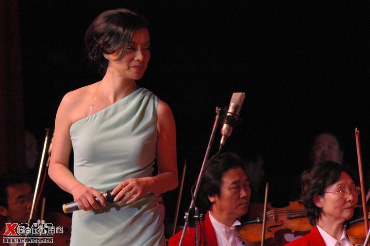 毛阿敏演出图册图片图集