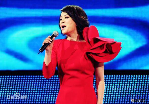 毛阿敏演出图册图片图集