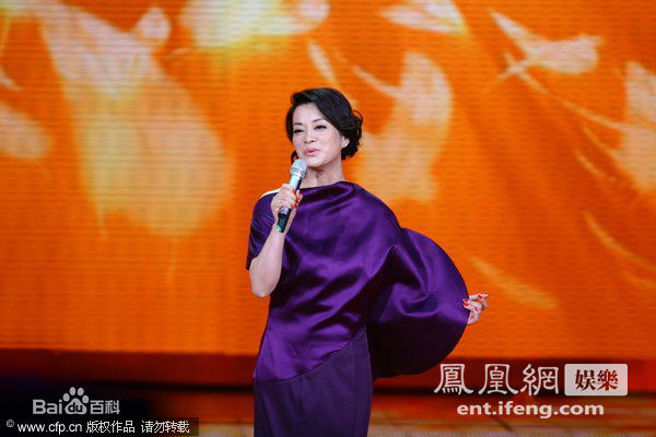 毛阿敏演出图册图片图集