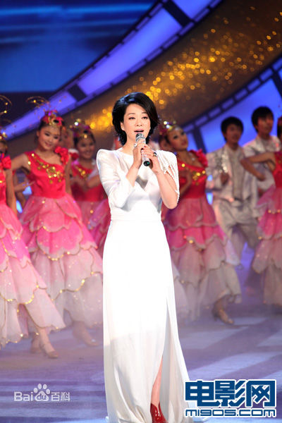 毛阿敏演出图册图片图集