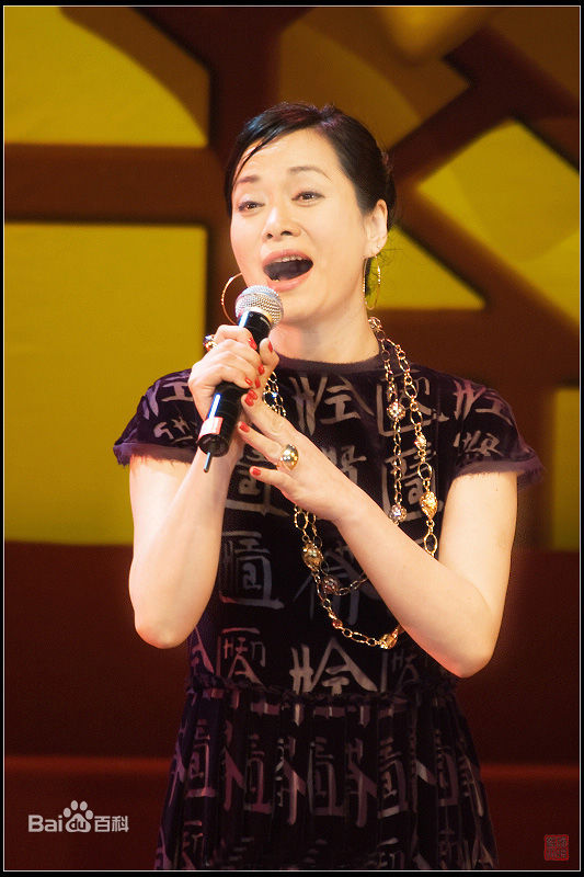 毛阿敏演出图册图片图集